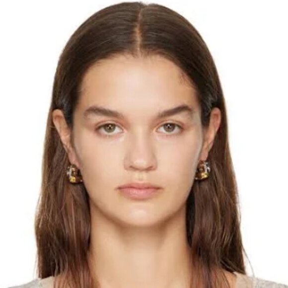 NWT$725 Dries Van Noten Brass Silver Colored Crystal Embellished Hoop Earrings - Picture 16 of 16